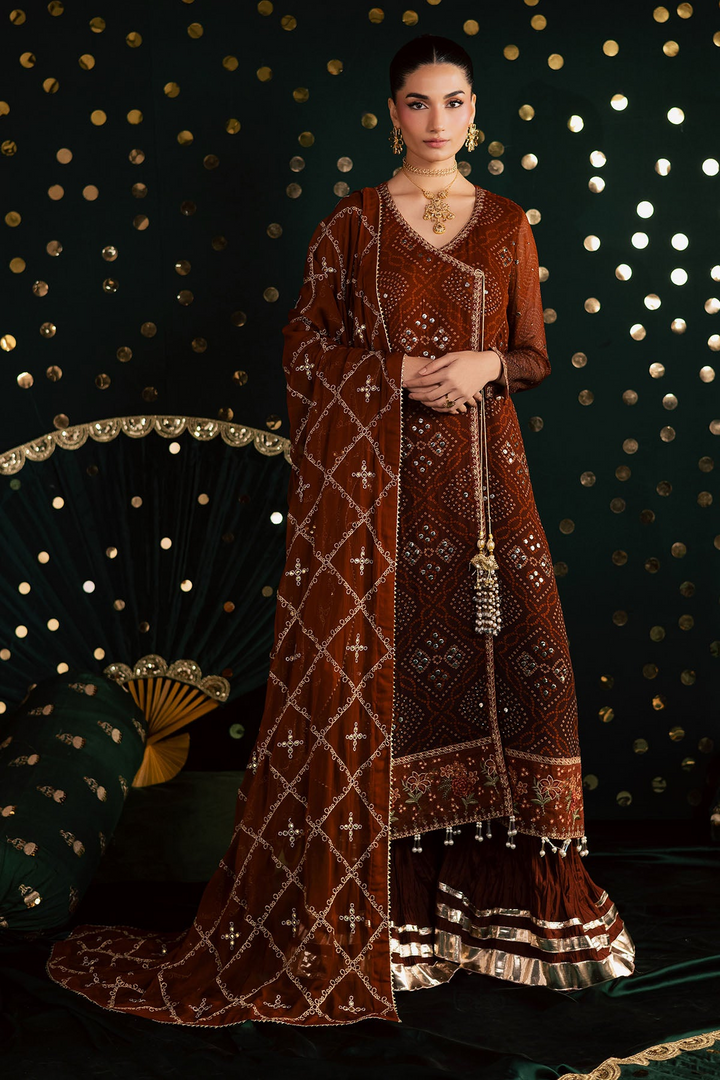 Mukeshkari Embroidered Chiffon