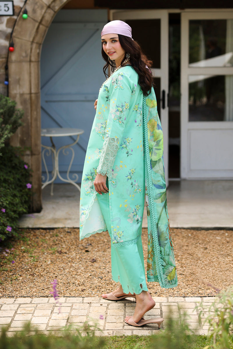 Lifestyle Summer Lawn