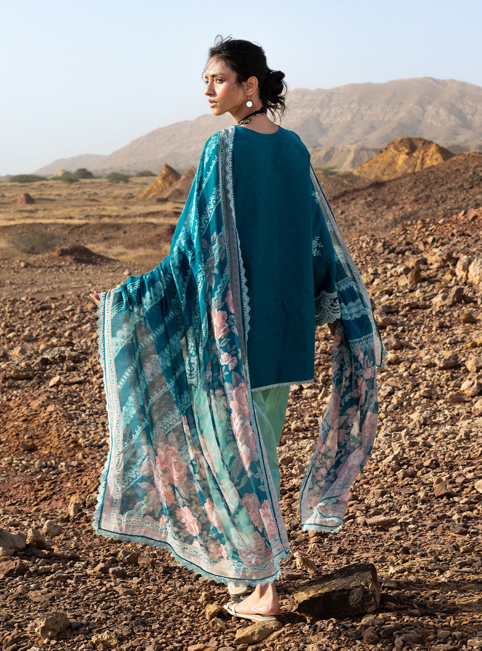 Spring Summer Collections