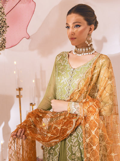 ROHEENAZ-SAWARIYA LUXURY KALIDAAR CHIFFON-05