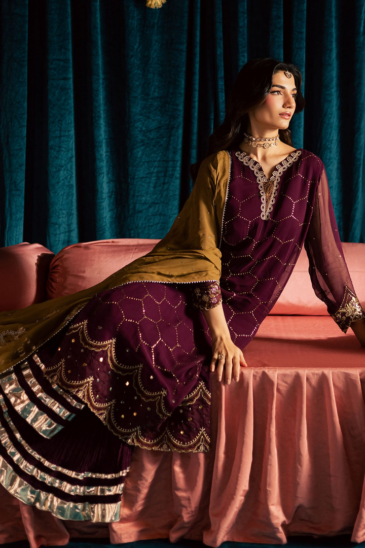 Mukeshkari Embroidered Chiffon