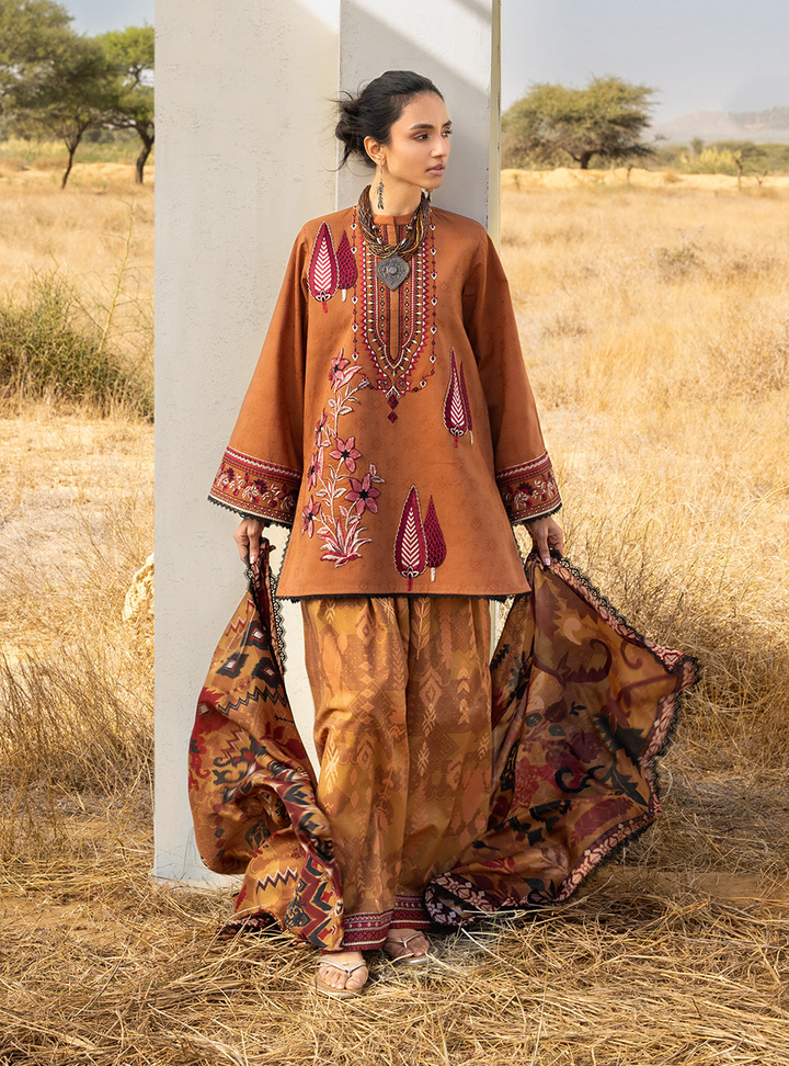Spring Summer Collections