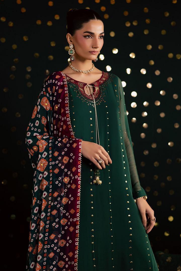 Mukeshkari Embroidered Chiffon