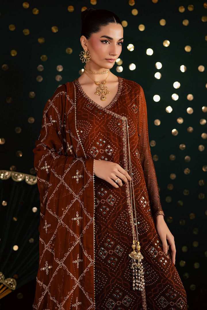 Mukeshkari Embroidered Chiffon