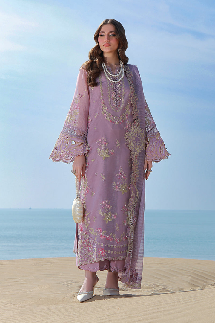 Premium Summer Collection