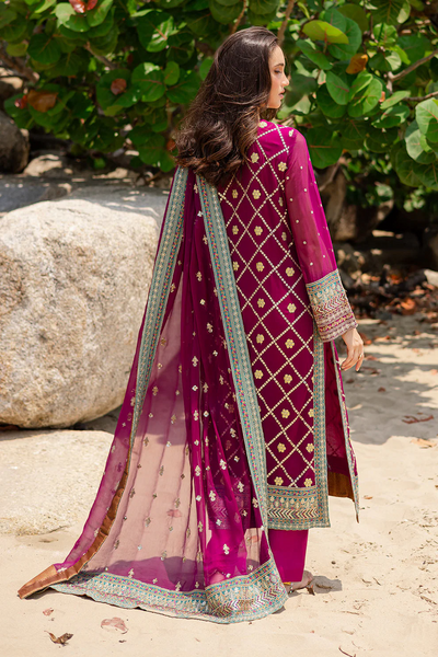3 Piece Embroirdered Chiffon