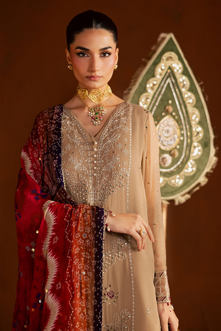 Mukeshkari Embroidered Chiffon