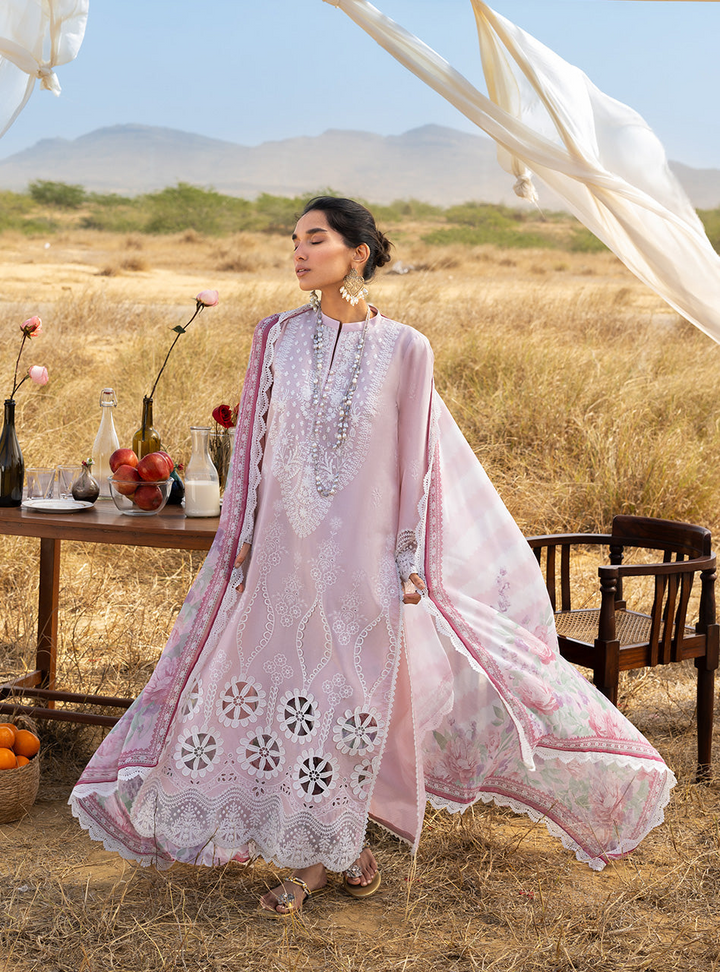 Spring Summer Collections