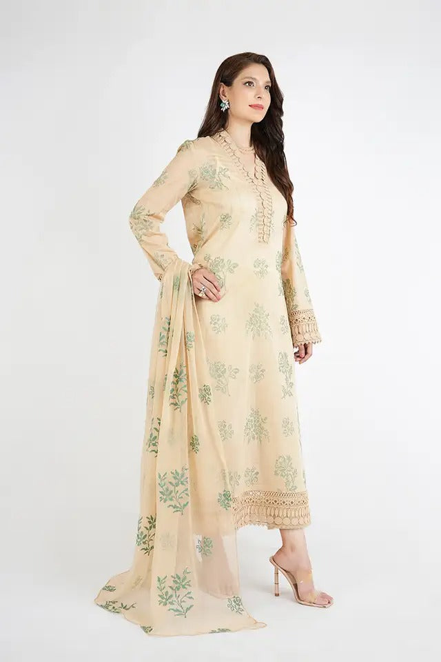 ZAUQ-E-GULL-01