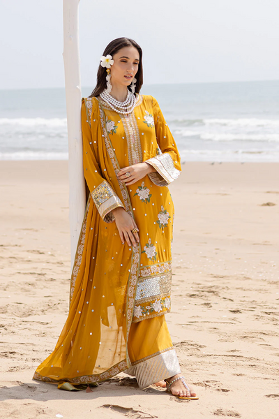 3 Piece Embroirdered Chiffon