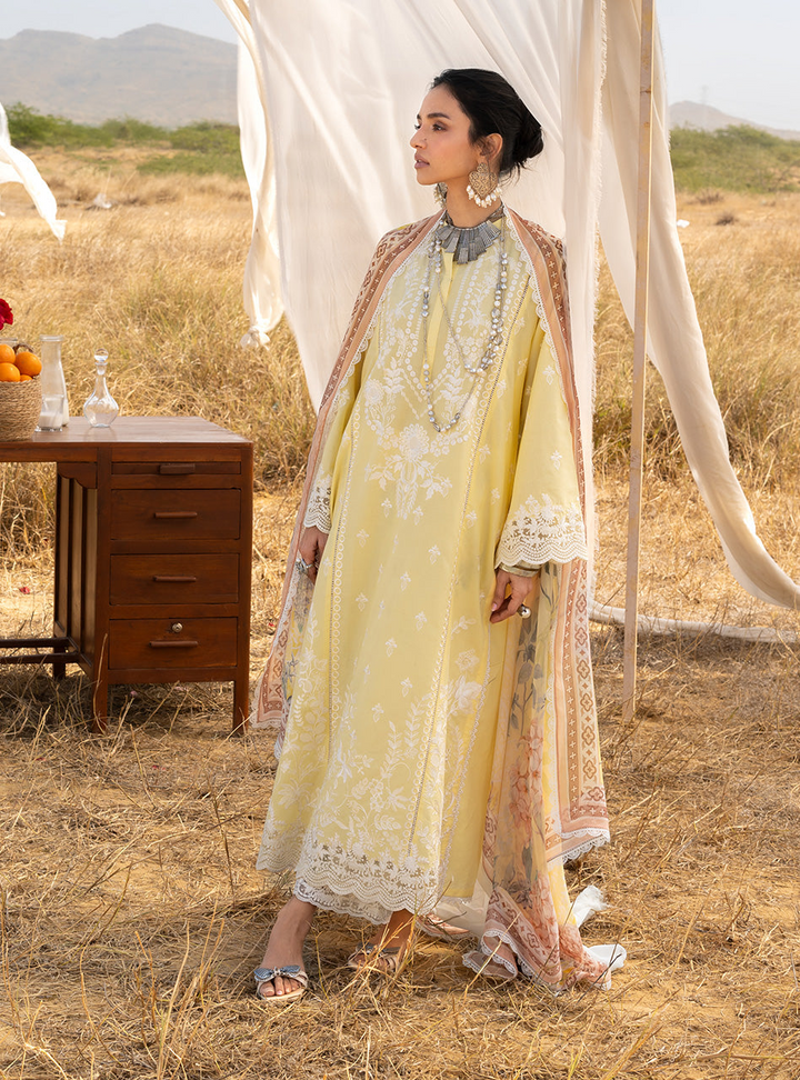 Spring Summer Collections