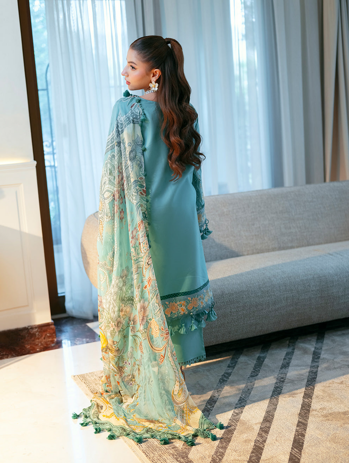 Ombre Starlet  Lawn