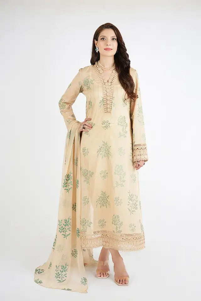 ZAUQ-E-GULL-01