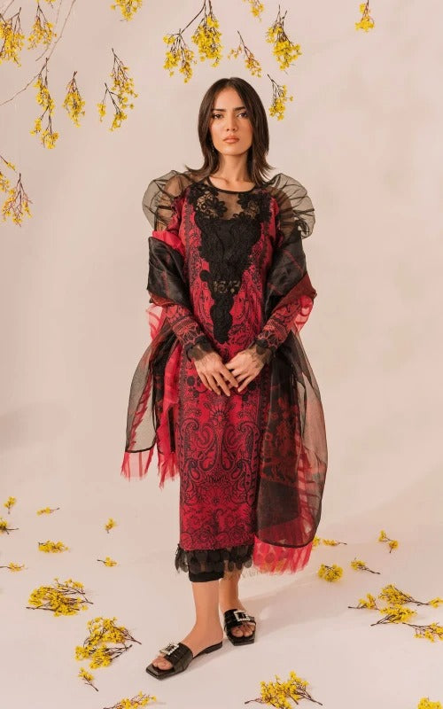 Asifa & Nabeel - Meraki Summer Lawn Collection