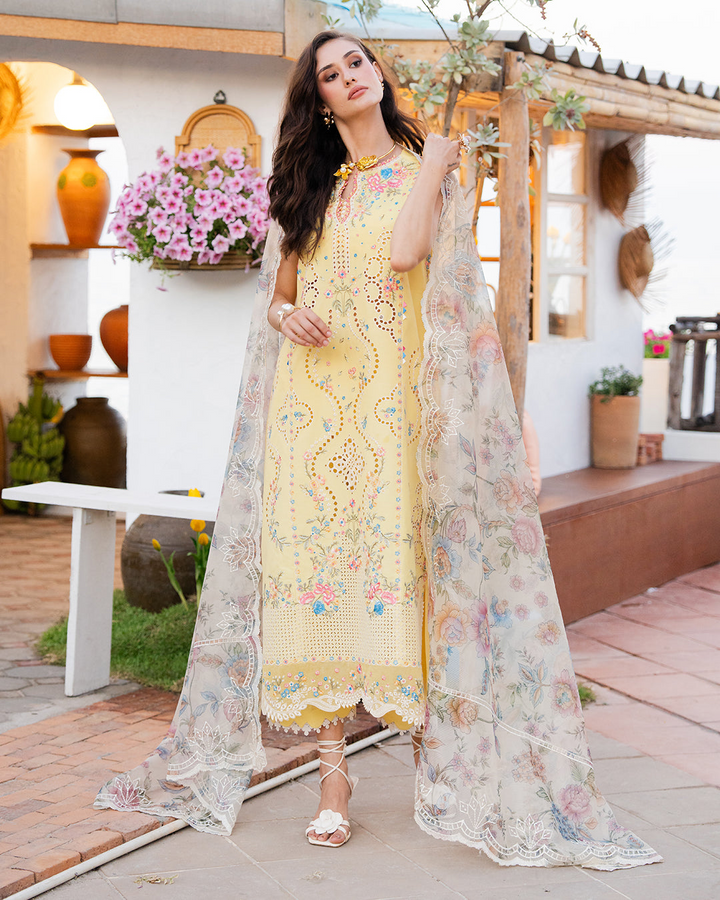 3Pc Lawn Embroidered Suit