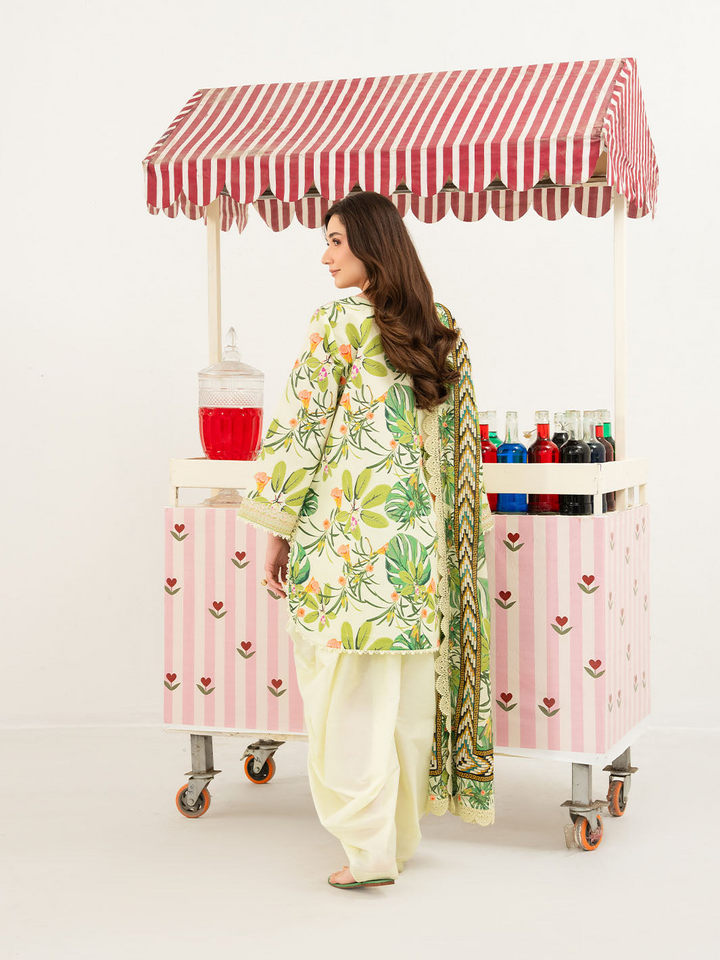 Anaya Lawn 3 PC