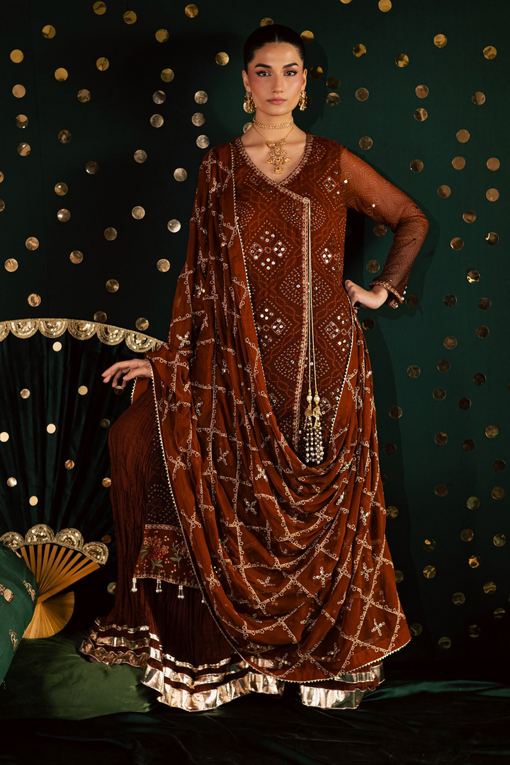 Mukeshkari Embroidered Chiffon