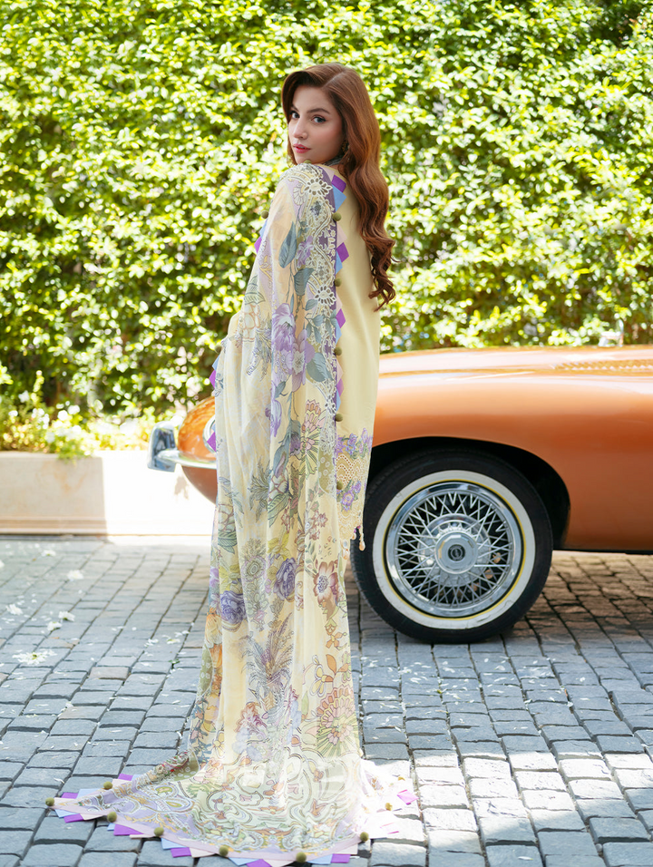 Ombre Starlet  Lawn