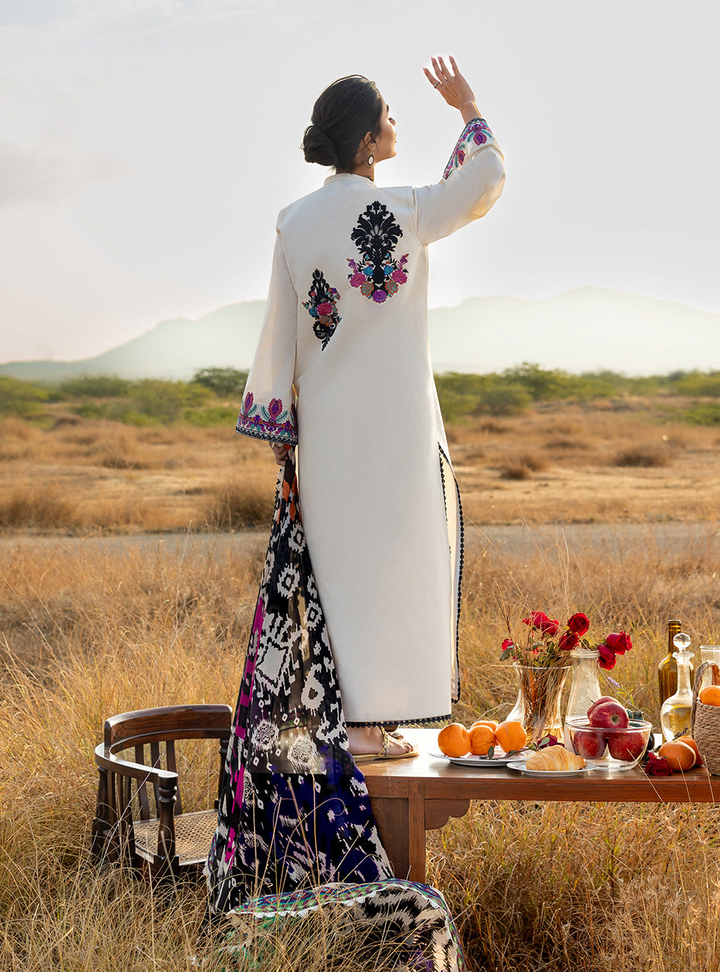 Spring Summer Collections