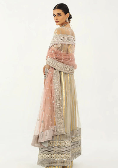 Mashq - Raj Kumari Formal Collection