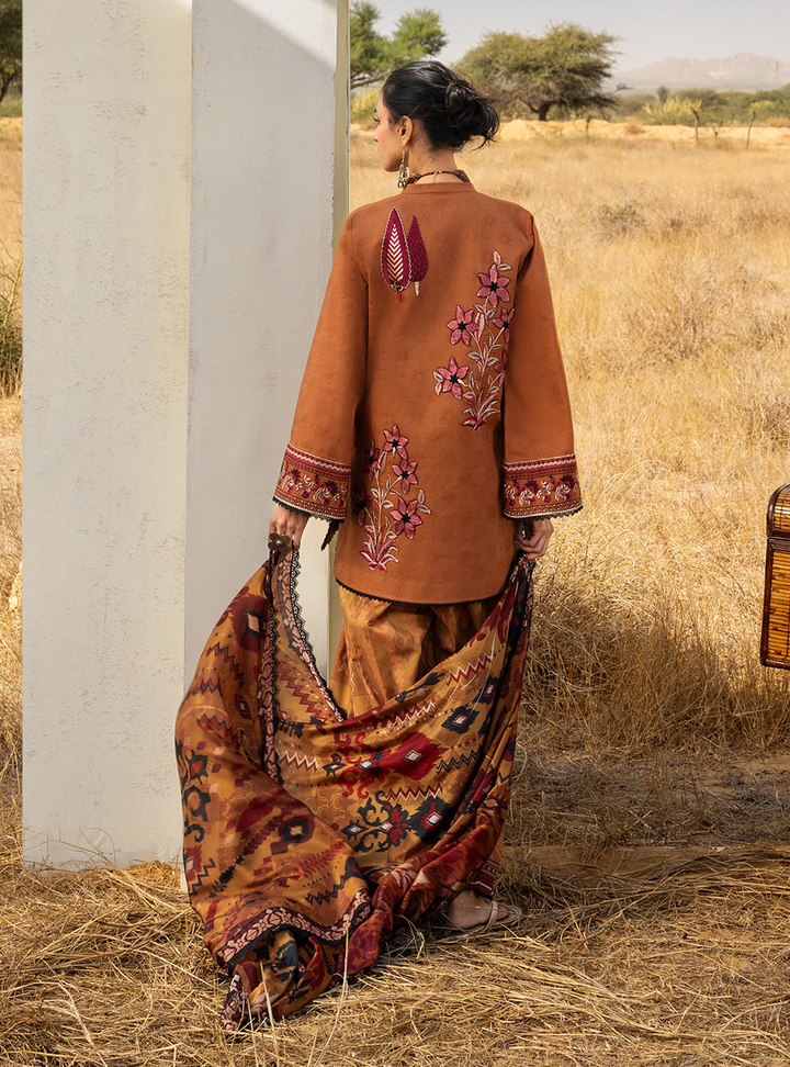 Spring Summer Collections