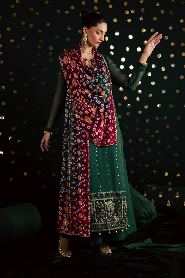 Mukeshkari Embroidered Chiffon