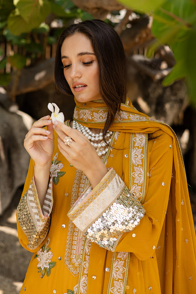 3 Piece Embroirdered Chiffon