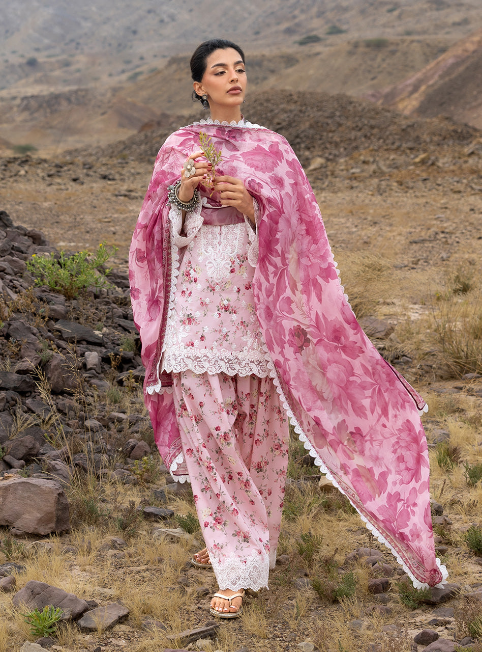 Spring Summer Collections
