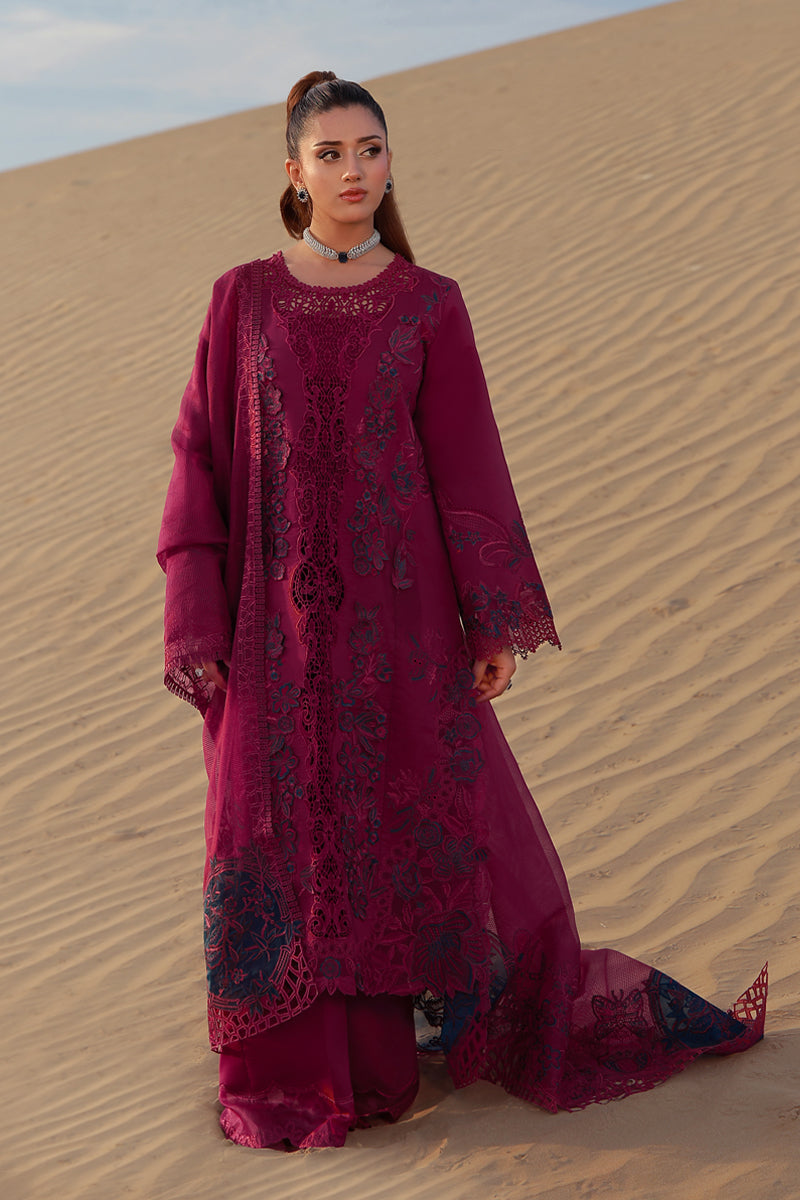 Premium Summer Collection – PFF Premium Store