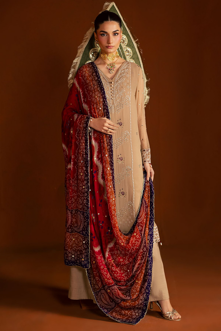 Mukeshkari Embroidered Chiffon