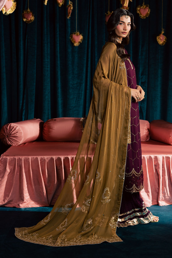 Mukeshkari Embroidered Chiffon