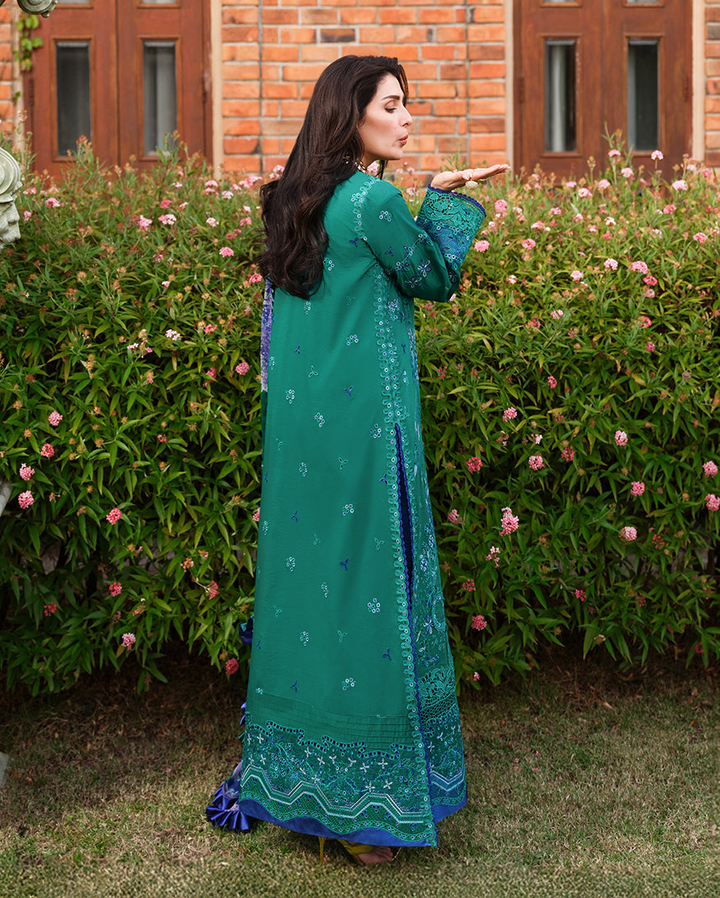 Amoi Luxury Lawn