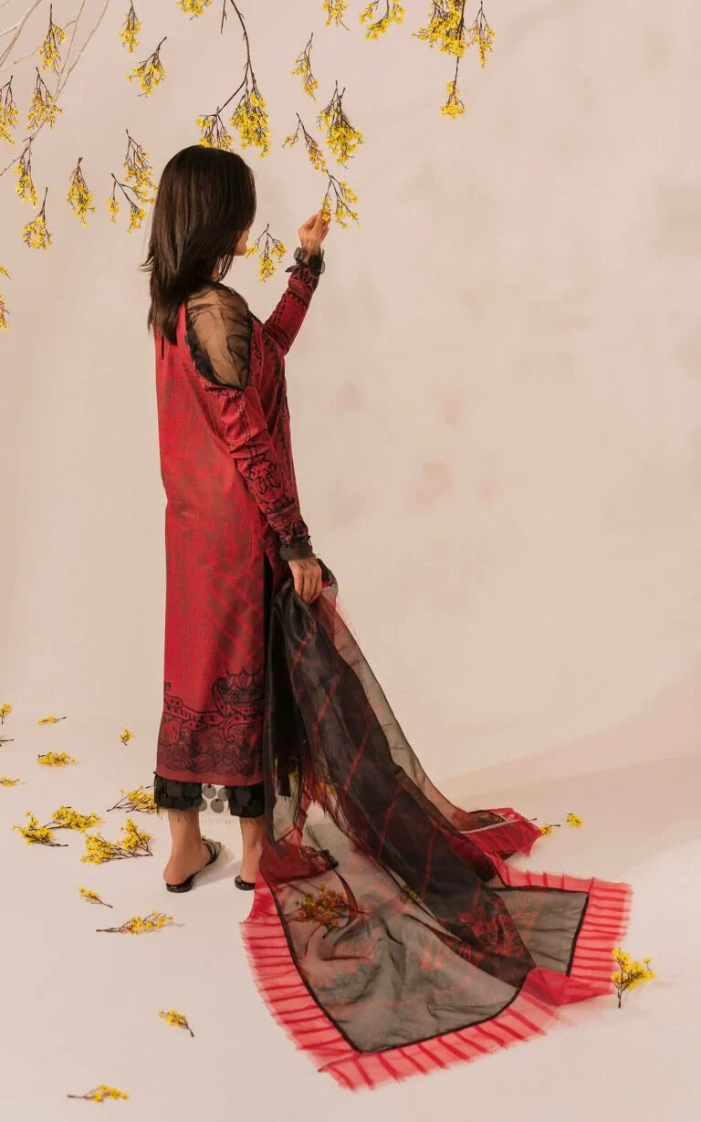 Asifa & Nabeel - Meraki Summer Lawn Collection