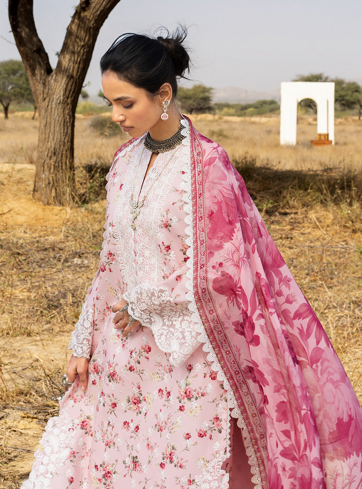 Spring Summer Collections