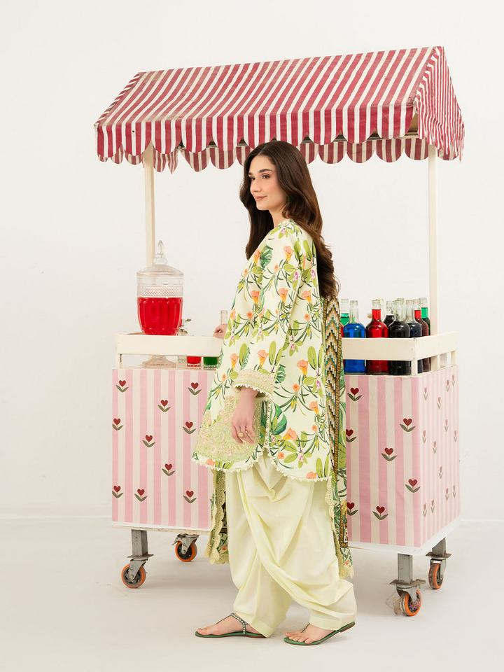 Anaya Lawn 3 PC