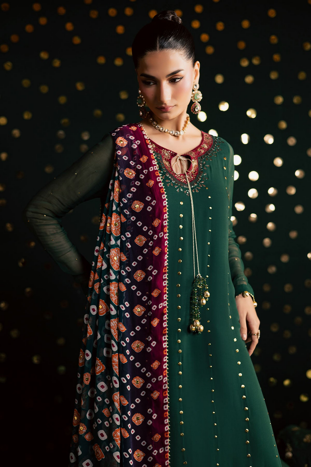 Mukeshkari Embroidered Chiffon