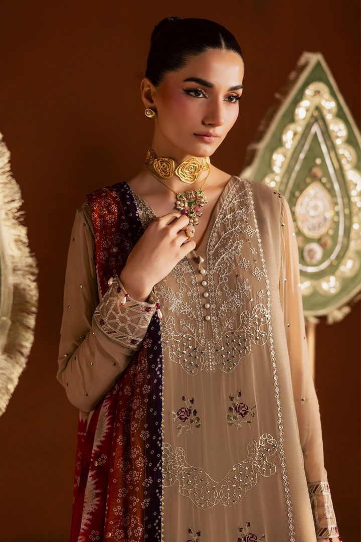 Mukeshkari Embroidered Chiffon