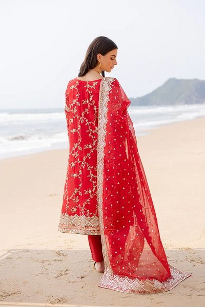 3 Piece Embroirdered Chiffon