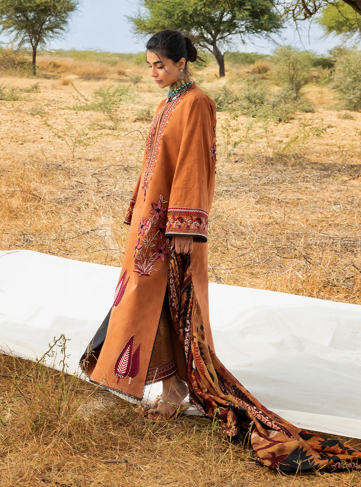 Spring Summer Collections