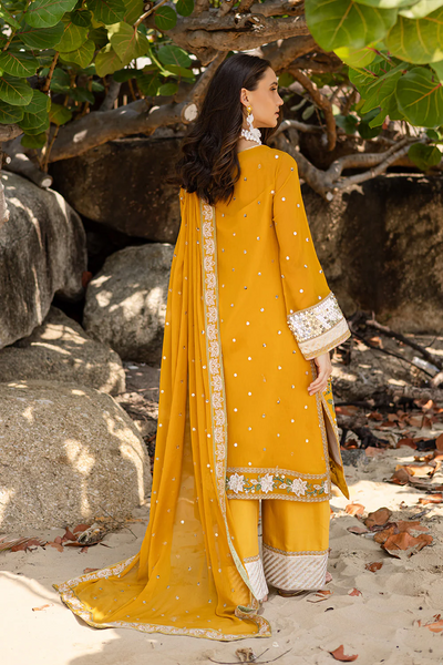 3 Piece Embroirdered Chiffon
