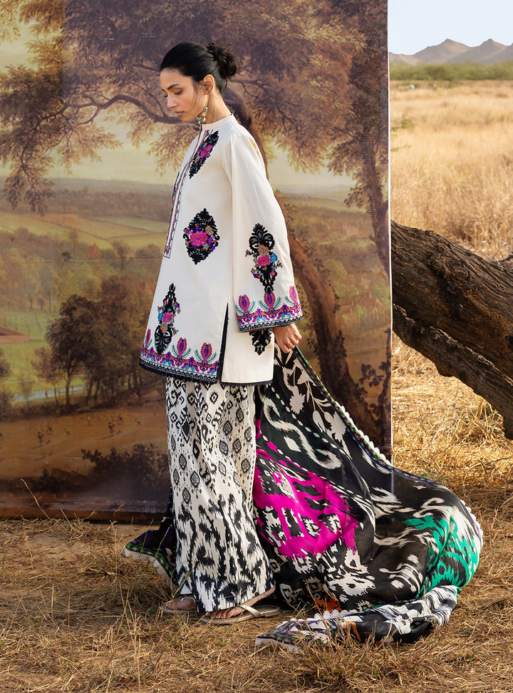 Spring Summer Collections