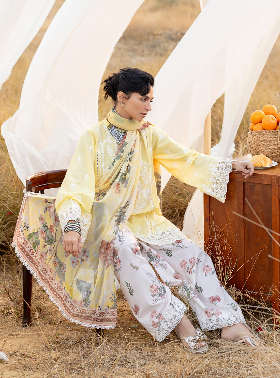 Spring Summer Collections