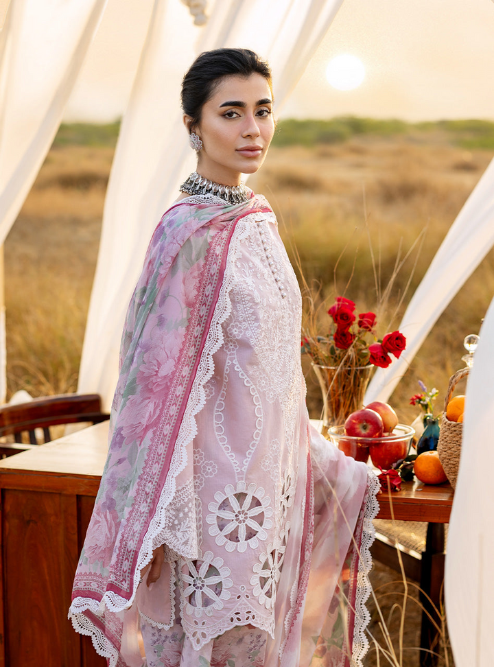 Spring Summer Collections