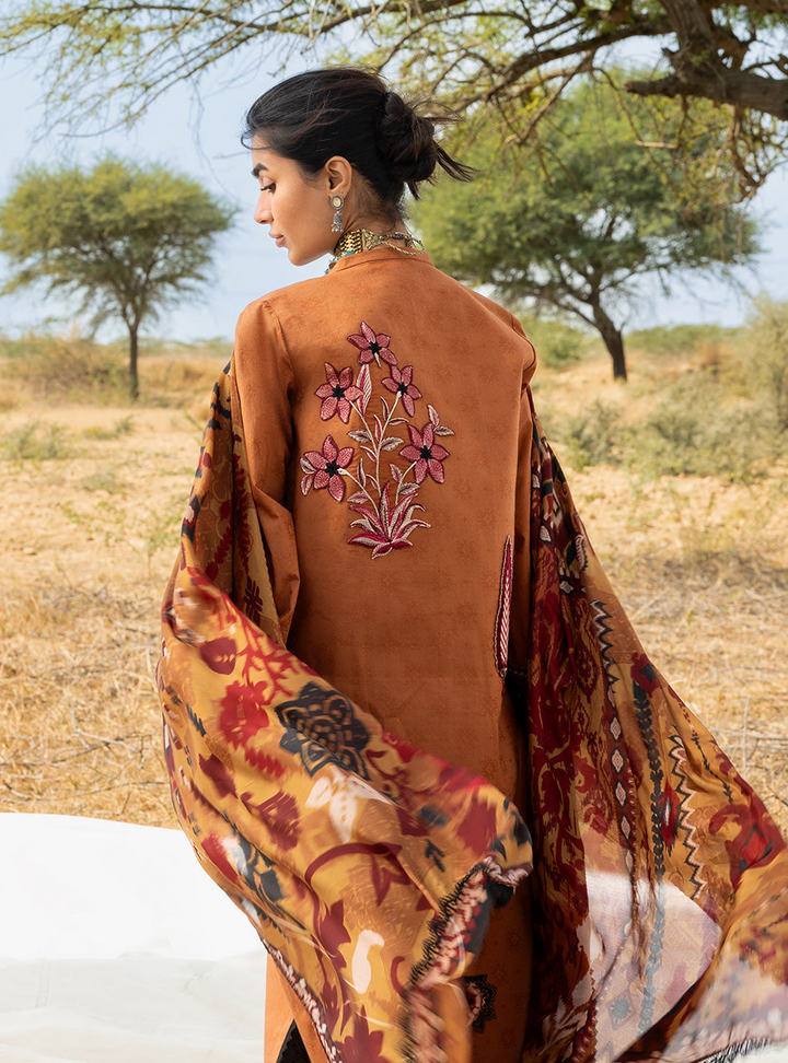 Spring Summer Collections