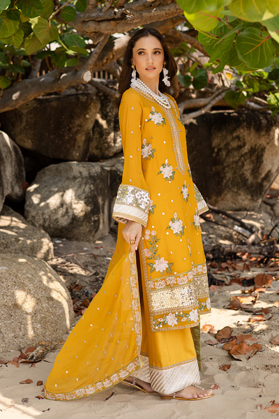 3 Piece Embroirdered Chiffon