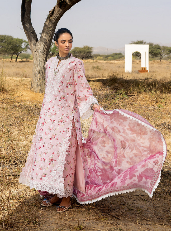 Spring Summer Collections