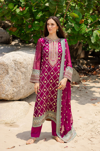 3 Piece Embroirdered Chiffon