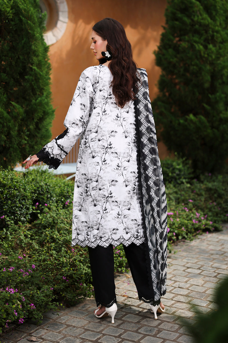 Lifestyle Summer Lawn
