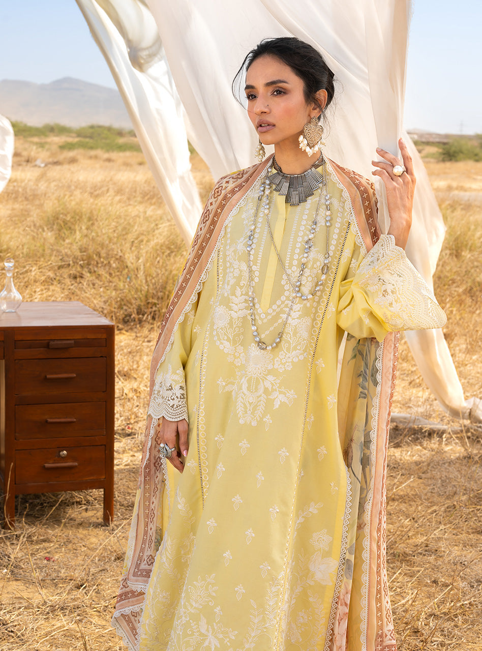 Spring Summer Collections