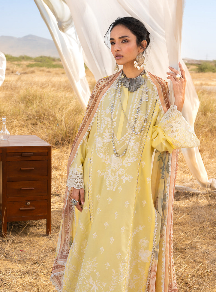 Spring Summer Collections